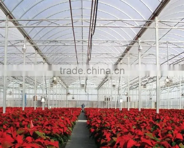 RoughBrothers PolyArch-RD2 Muli-span Galvanized Steel Frame Vegetable and Flower Greenhouse photo-4
