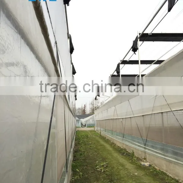 Tomato Hydroponic Greenhouse photo-6