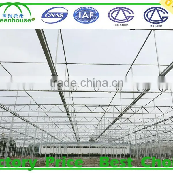 Horticultural Glass Greenhouses photo-3