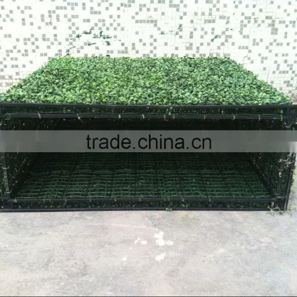 CHY040820 Garden Artificial Boxwood Hedges Manufacture,outdoor Use Hedge photo-2