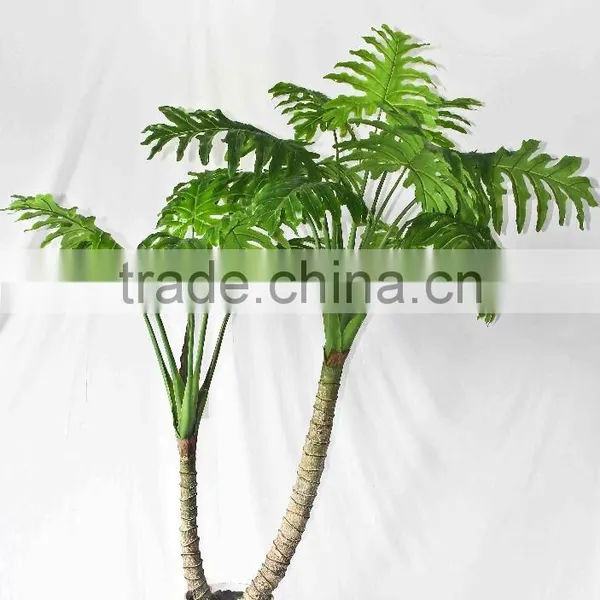 Oramental Green Bonsais photo-4