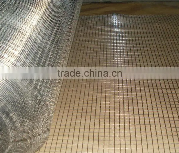 China Supplier Welded Wire Mesh photo-3