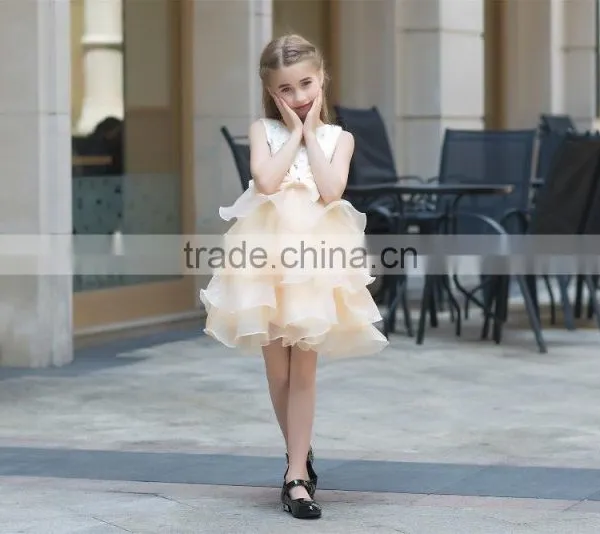 Hot Sale Net Fabric Ball Grown Dress for Baby Girl Summer Dress for Girl Ruffle Skirt Sleeveless photo-3
