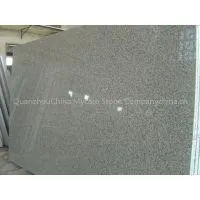 Wholesales G623 Natural Grey Granite Slab photo-2