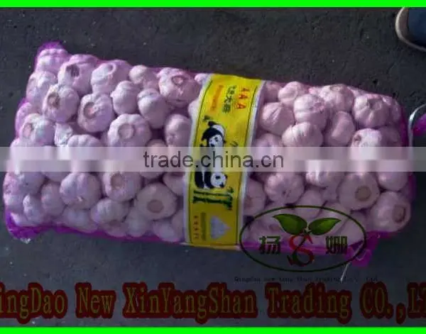 Sell Cheap Onion 2016 Spring Onion Red/Yellow/White Onion photo-6