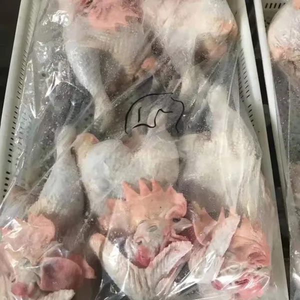 Fresh Frozen Bone Raw Chicken photo-3