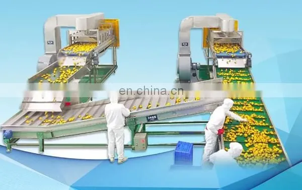Automatic Industrial Complete Pineapple Juice Production Line photo-3