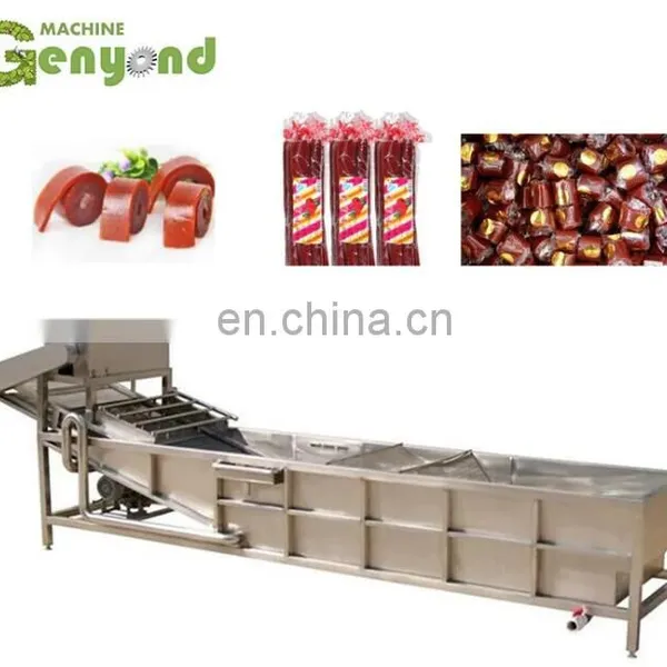 Hawthorn Seed Making Machine Fruit Leather Cutting Machine photo-2