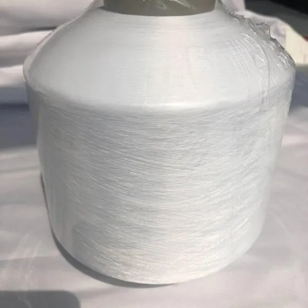 100% POLYESTER YARN FDY 100D/600TPM For WARP YARN photo-2