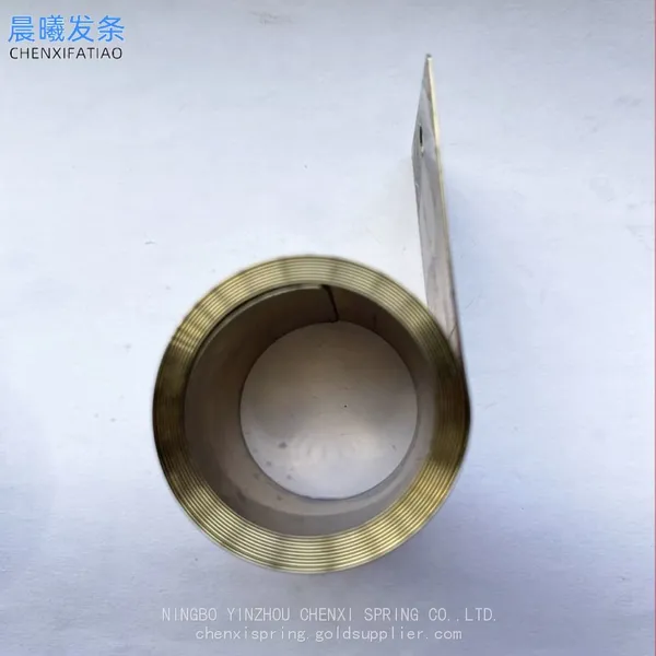 High Strength Custom Flat Coil Springs Stainless Steel Spiral Constant Force Power Spring photo-3