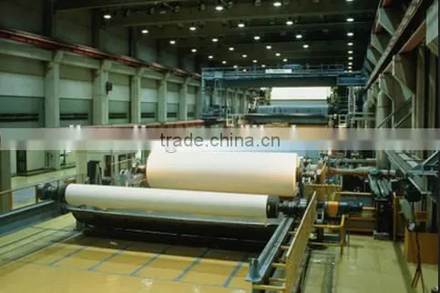 High Quality Polyester Dryer Felt for Paper Mills photo-4