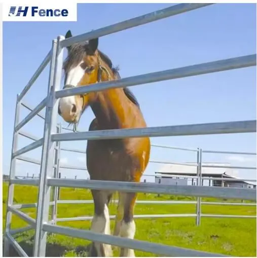 Welded Mesh Galvanized Cattle Panels 2