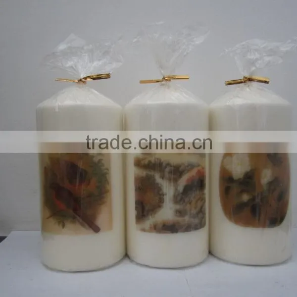 Automatic Peanut and Soybean Oil Press photo-6