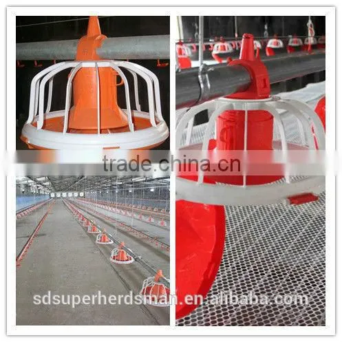 Main Feeding Line of Chicken Poultry Equipment photo-2