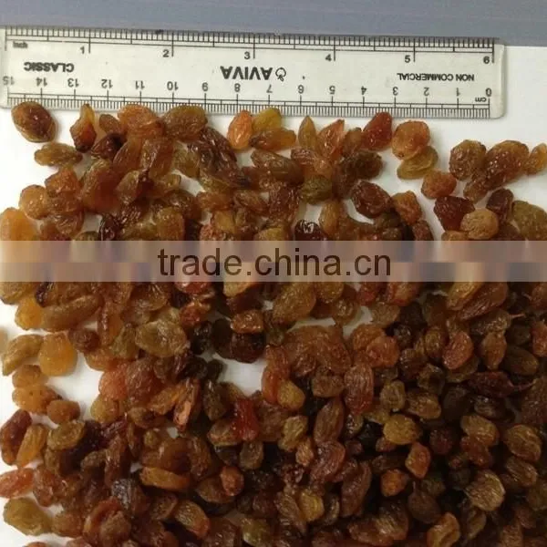 Maliyar Raisin AA