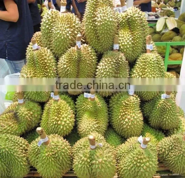 Durian