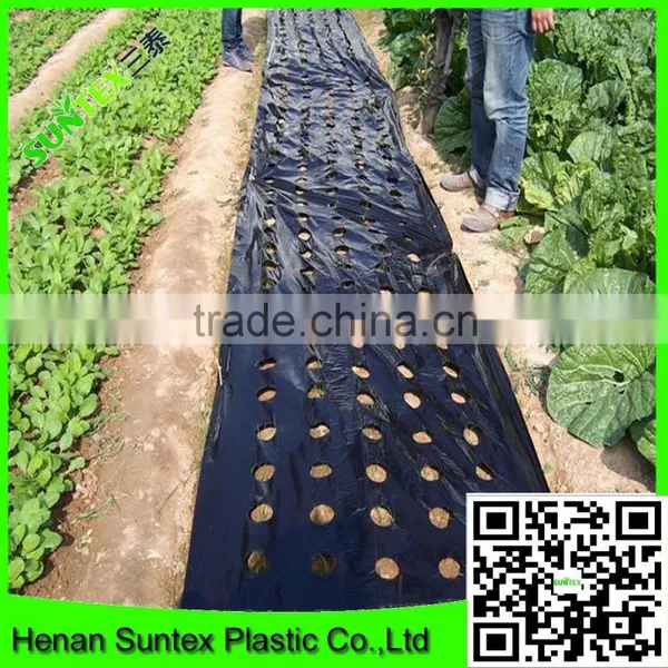 High Quality Vegetable Cover Used Perforated Mulch Film/plastic Lldpe Mulch Film photo-4