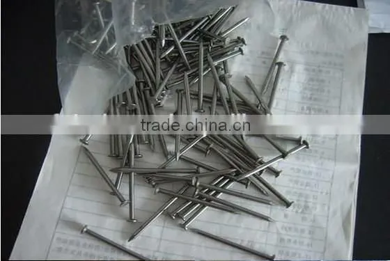 Common Round Iron Wire Nails Factory/Common Nails photo-4
