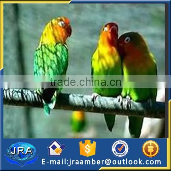 Zoo Bird Cages Stainless Steel Aviary Mesh/netting photo-3
