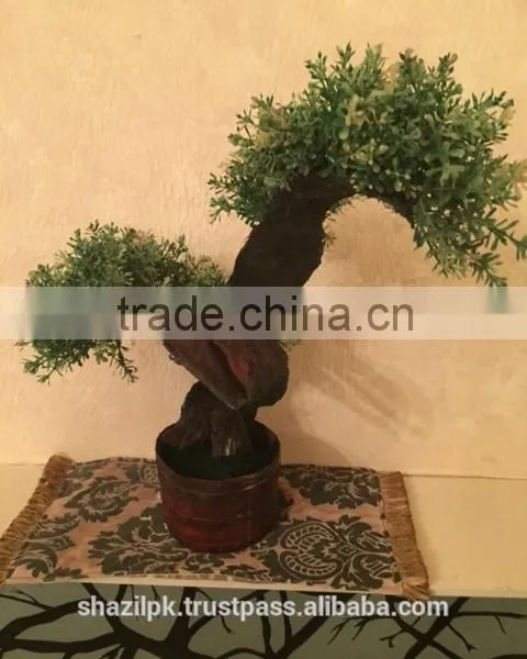 Artificial Bonsai