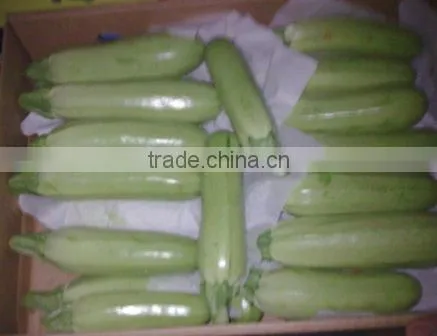 Zucchini photo-5