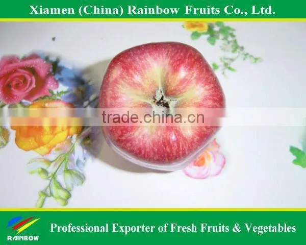 Red Delicious Apples photo-2