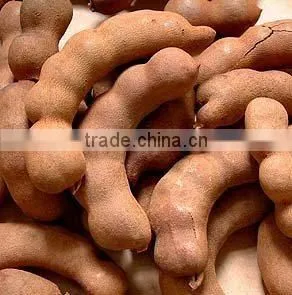 TAMARIND FLAVOR/SEASONING