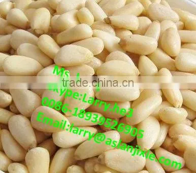 Pine Cone Peeler Machine/pine Cone Skin Peeling Machine/automatic Pine Cone Peeler photo-6