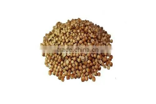Coriander whole and powder