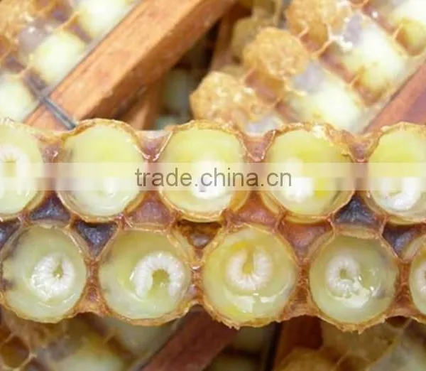 Factory Price 1.4% 10-HADpure Organic Fresh Royal Jelly photo-2