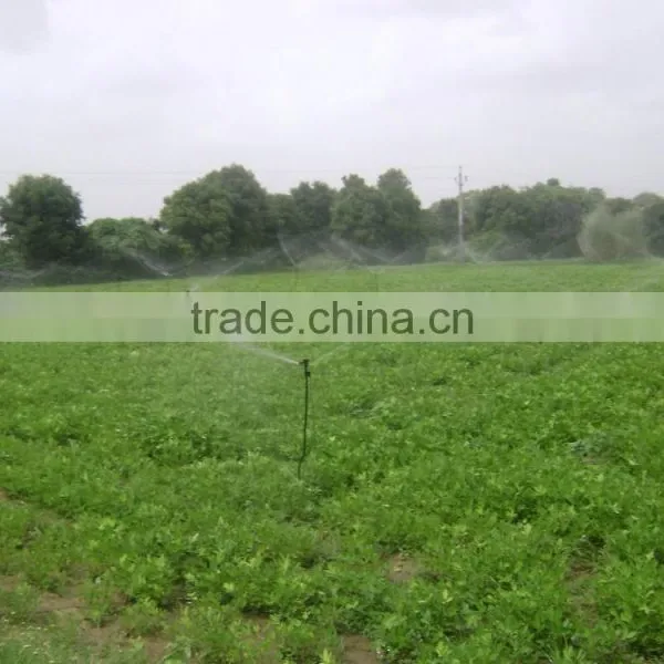 Brass Nozzle for Sprinkler Irrigation System photo-2