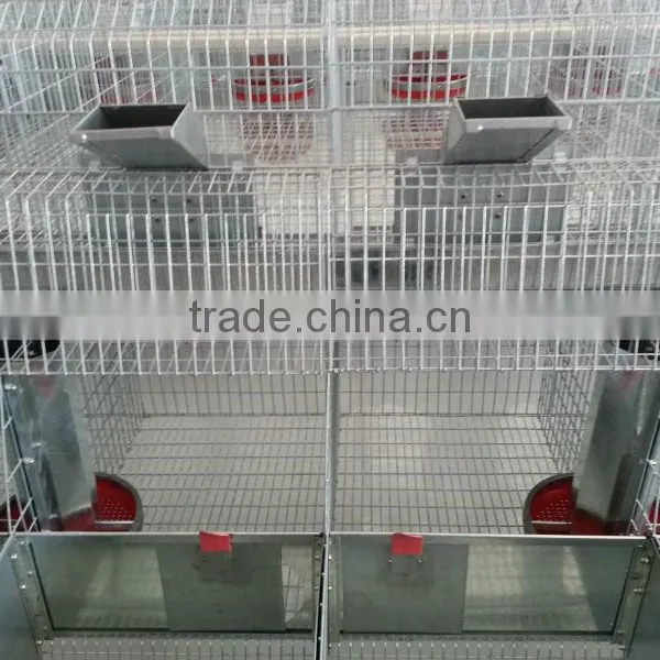 Rabbit Raising Equipment photo-3