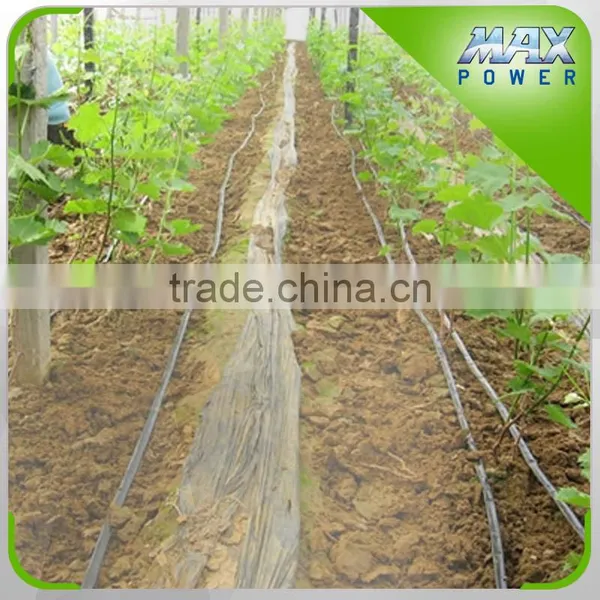 Drip Hose for Hungary Agricultural Land Irrigation photo-4