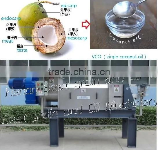 Small Coconut Oil Mill Machinery With Good Prices photo-2