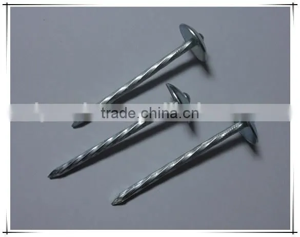 2 Inch Umbrella Head Roofing Nail Twisted Shank Roofing Nail With Factory Price photo-3