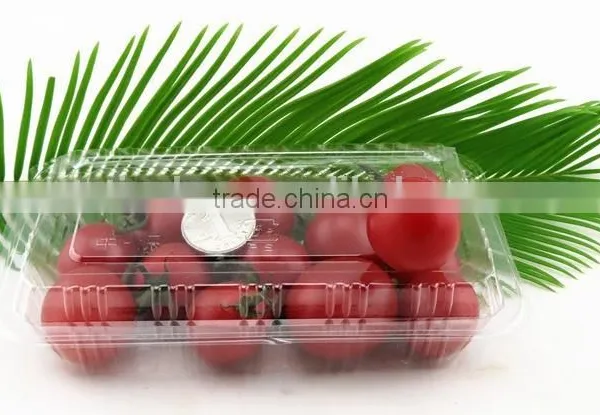 Disposable Cookies Plastic Container photo-2