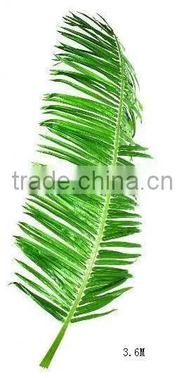 SJ12001119 Dried Plam Tree Leave/artificial Big Leaves photo-5