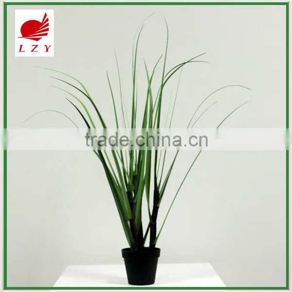 Factory Direct Sale Large Garden Decoration Onion Grass photo-4