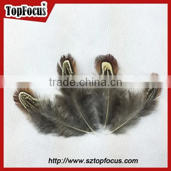 Lower Price Natural Synthetic Pheasant Feathers for Carnival Costumes photo-2