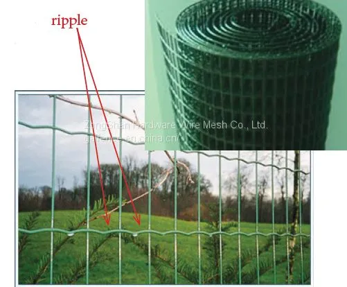 Galvanized Welded Wire Mesh photo-2