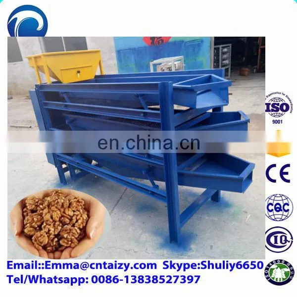 Walnut Processing Machine Walnut Sorting Machine Hazelnuts Sorter Machine photo-2