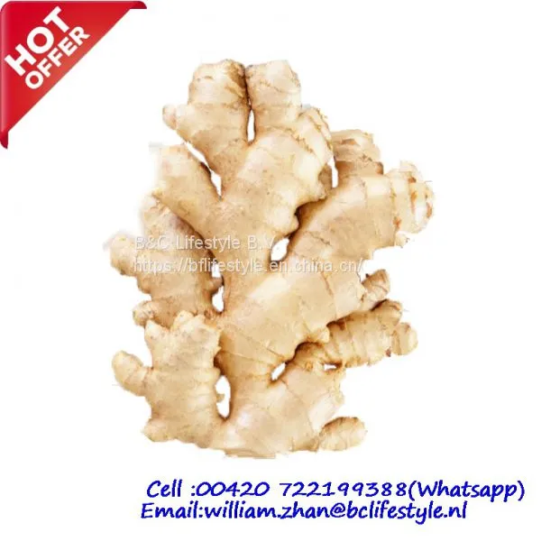 Fresh Ginger