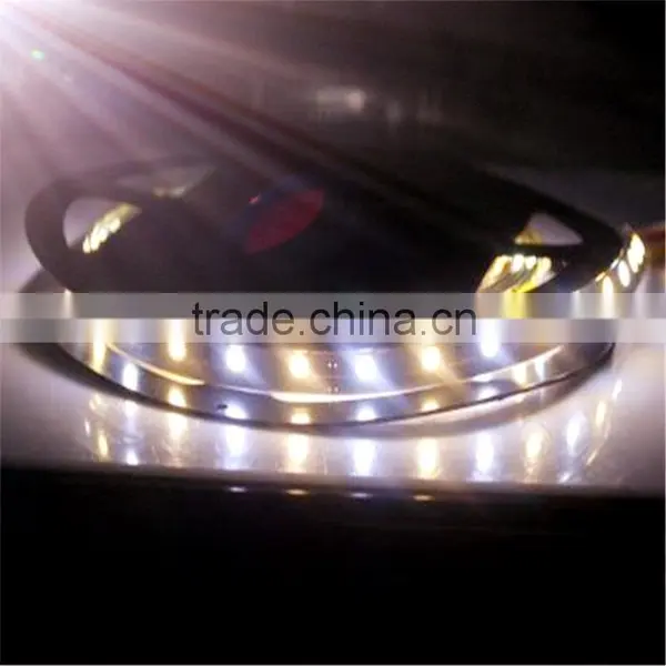 Best Led Lighting Factory 12V/24V Led Strip Light SMD3528 5050 photo-5