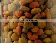China Supplier Pellet Pet Dog Food Production Line photo-6