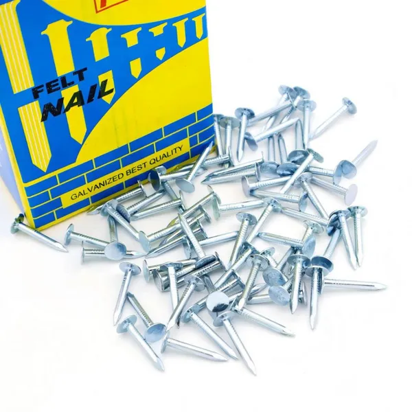 25kg Paper Carton Galvanized Roofing Clout Nails - Ready for OEM Branding photo-3