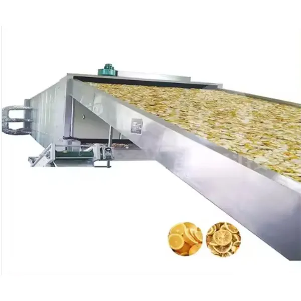 Industrial Hot Air Food and Vegetable Dehydrator Ginger Dehydrated Coconut Copra Dryer Production Line Machine Fruit Drying Oven photo-4