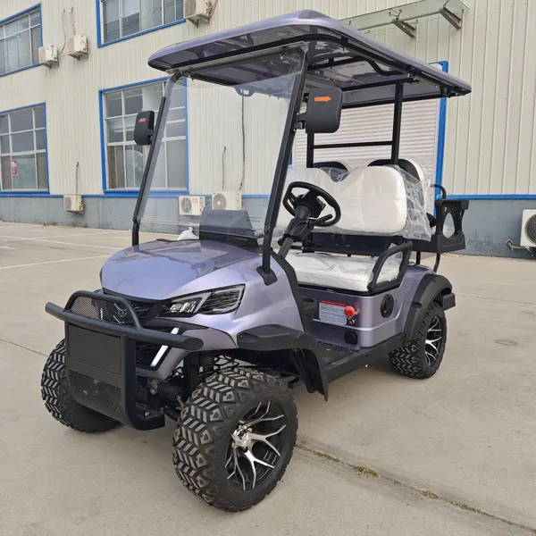 Latest Private - Customized Electric Golf Carts, Sourced From the Original Manufacturer for Export and Foreign Trade photo-4