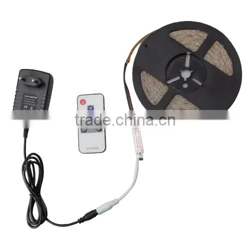 3014 LED Strip RGB 54Led/m Waterproof Led Diode Tape Ribbon + 10Key RF Controller + 2A Power Adapter For Home Garden Decoration photo-2
