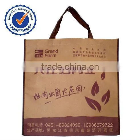 Nonwoven Gift Tote Bag