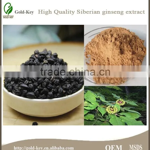 High Quality Siberian Ginseng Extract for Long Time Sex photo-6